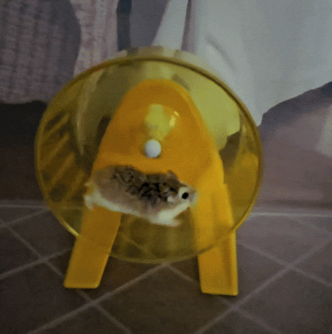 Hamster Wheel GIF