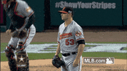 bal GIF by MLB