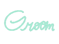 Groom Typequeen Sticker by BluWave