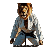 Black Belt Bjj Sticker by Renzo Gracie Jiu Jitsu of Cooper City