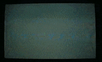 Wanderkid GIF by JW Francis