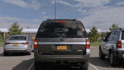 cbs car owl run over cookie jar GIF