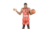 Lets Go Nba Sticker by FC Bayern Basketball