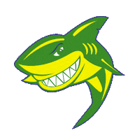 Brazil Shark Sticker by Charouz Racing System