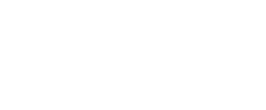 Cheesecake Sticker
