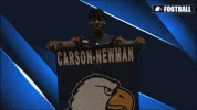 Cnfb GIF by Carson-Newman Athletics