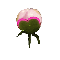 Flower Spring Sticker