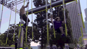 GIF by Ninja Warrior