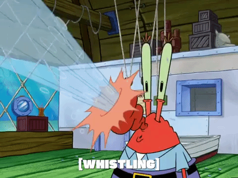 season 5 GIF by SpongeBob SquarePants