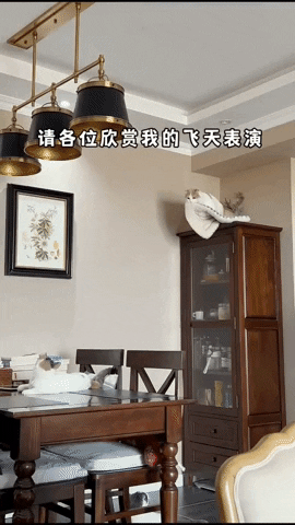 cuteanimalland giphyupload GIF