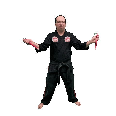 Karate Taekwondo Sticker by Team GMA