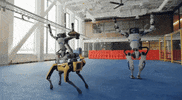 Jump Ai GIF by EsZ  Giphy World