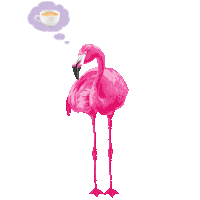 Pink Coffee Sticker by Gala von Eduscho