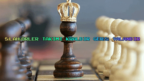 PROFESSOR_CAMCI_SHOW giphybackdropmaker GIF