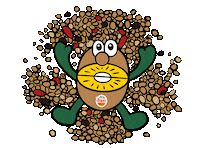 Kiwi Granola Sticker by Zespri España