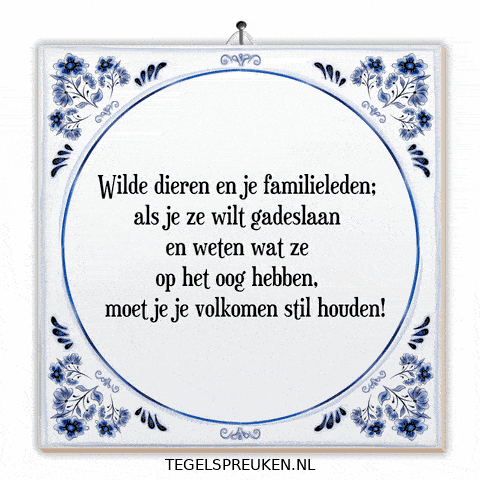 Nl Spanning GIF by Tegelspreuken.nl