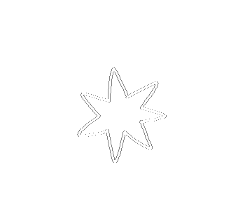 Star Sticker
