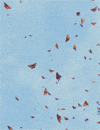 monarch butterfly sky GIF