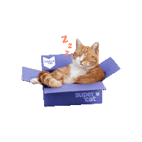 supercat_peru sleepy gato dormir mascota Sticker