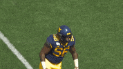 Ncaa Sports Football GIF by WVU Sports