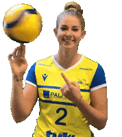 SSCPalmberg_Schwerin volleyball ssc sscpalmbergschwerin sscschwerin Sticker