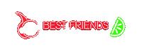 Best Friends Party Sticker by SVEDKA