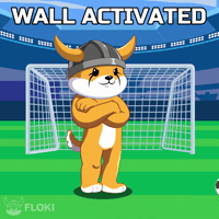 Football Soccer GIF by FLOKI