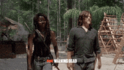 FoxTVEu smile fox the walking dead twd GIF