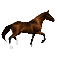 horse STICKER