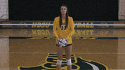 Volleyball Bison GIF by NDSU Athletics