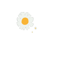 novidwiwulandari white flower plant floral Sticker