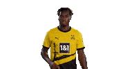 Football Sport Sticker by Borussia Dortmund