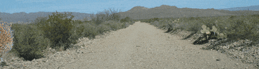 Tumbleweed GIF