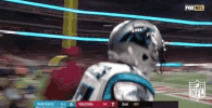 carolina panthers football GIF by NFL