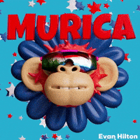 4Th Of July Usa GIF by Evan Hilton
