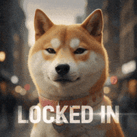 Shiba Inu GIF by DogeGF