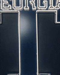 Georgia Tech Baseball GIF by Georgia Tech Yellow Jackets