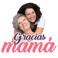Pycca mama gracias pika madres Sticker