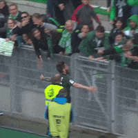 mathieu debuchy celebration GIF by AS Saint-Étienne