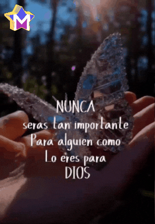 Mano Saludos GIF by Murcianys LLC