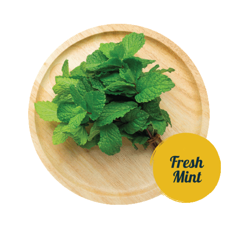 Mint Sticker by tadafreshmarket
