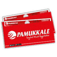 Summer Travel Sticker by Pamukkale Turizm