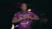 Sport Handball GIF by HBCNantes