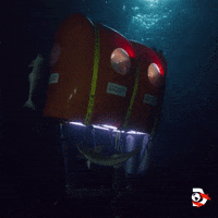 Cheers Tea GIF by Shark Week