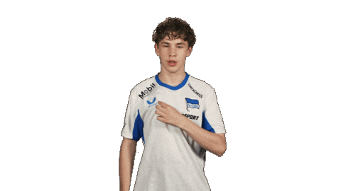 Hertha Bsc Football Sticker by Bundesliga