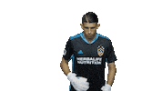 Los Angeles Football Sticker by LA Galaxy