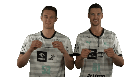 Handball-Bundesliga Sport Sticker by LIQUI MOLY HBL