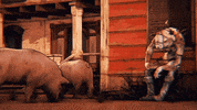 Bounty Hunter Loop GIF by Xbox