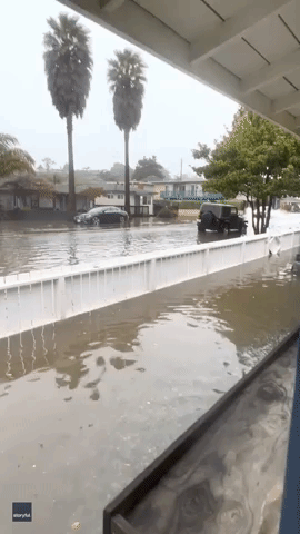Man Surfs Behind Car After Heavy Downpour Hits Northern California