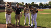 kccougars kccougars GIF